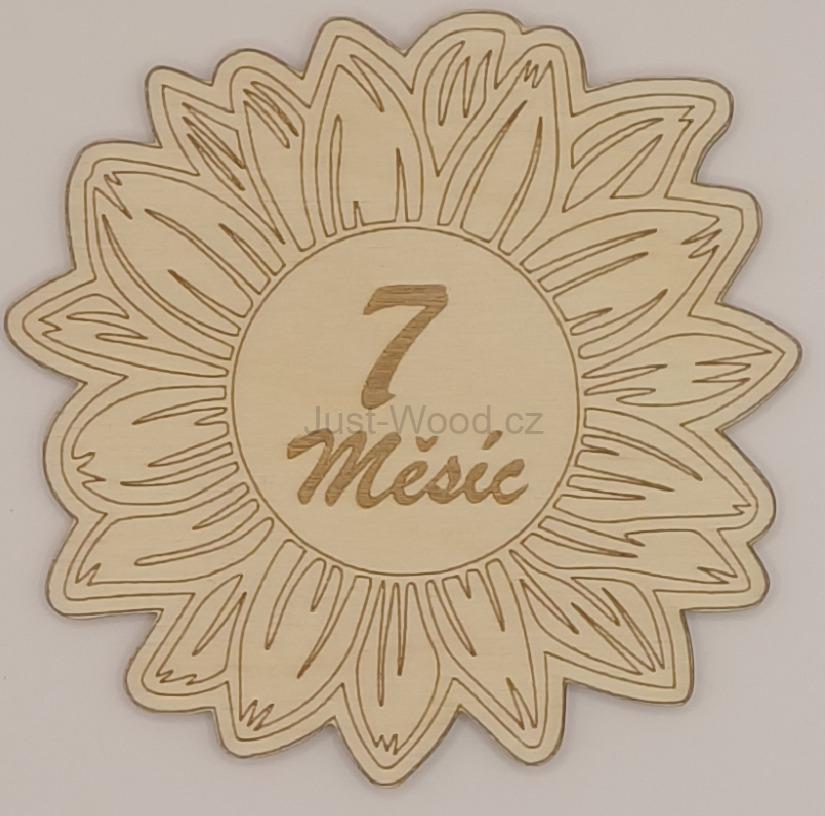 Milníková kartička - Kopretina 7. měsíc