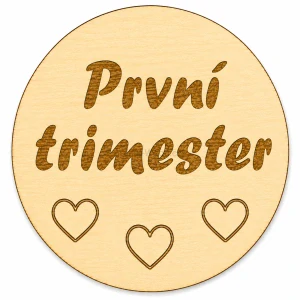 Milníková kartička - první trimestr
