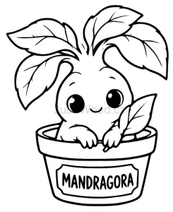 Mandragora 95mm