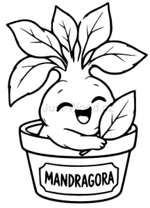 Mandragora 95mm